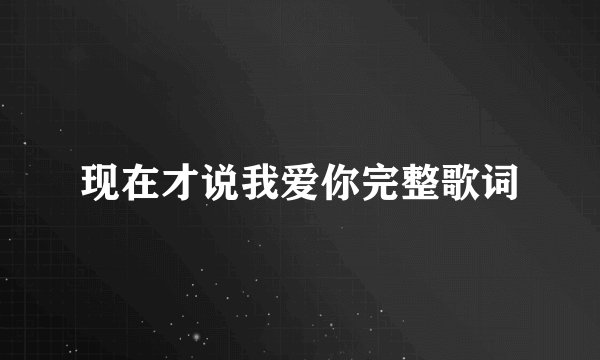 现在才说我爱你完整歌词