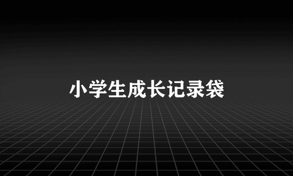 小学生成长记录袋