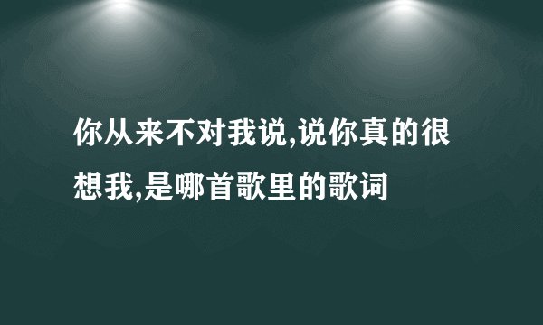 你从来不对我说,说你真的很想我,是哪首歌里的歌词