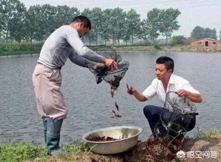 养殖小龙虾大概要准备多少资金？能不能挣钱？