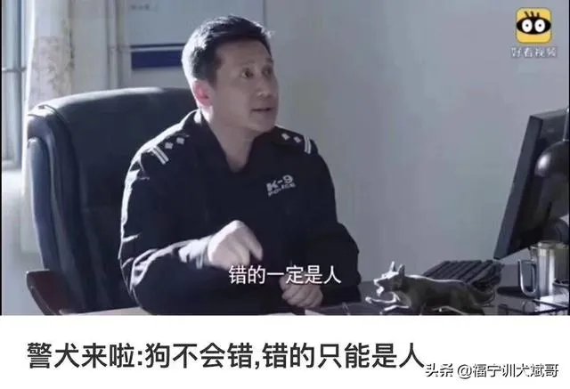 如何把狗狗训练的听你的指令呢?尤其是那种大型的狗?
