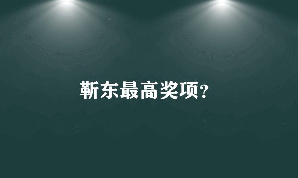 靳东最高奖项？