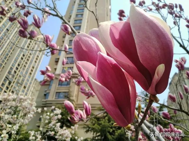 今年五一天津人能跨省旅游吗?
