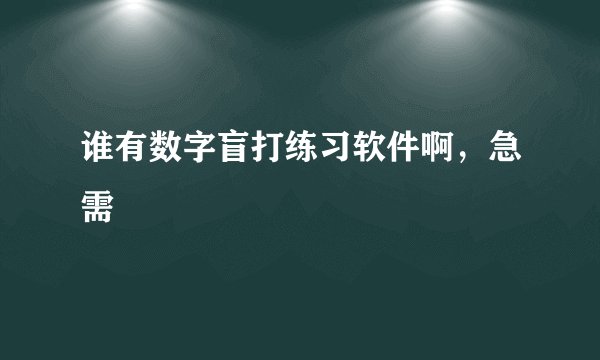谁有数字盲打练习软件啊，急需