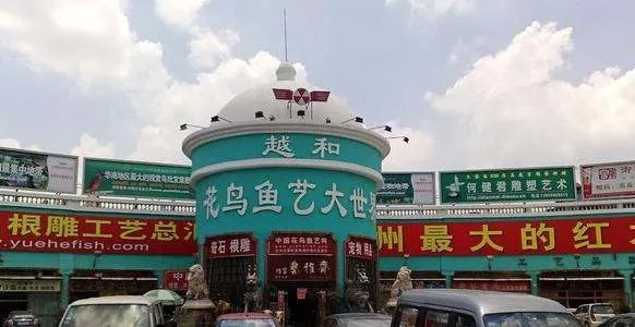 广州哪有宠物市场？我想买只宠物狗