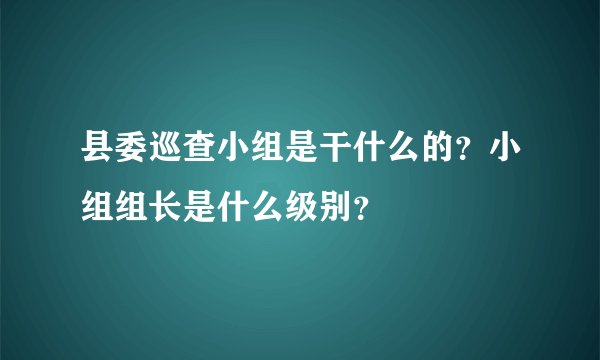 县委巡查小组是干什么的？小组组长是什么级别？
