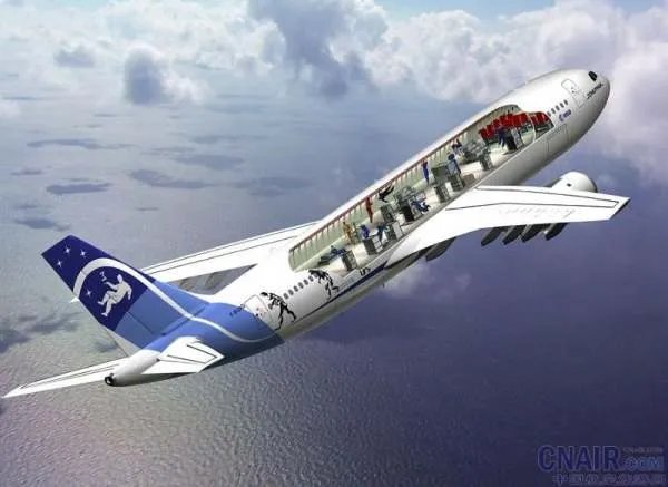 空中客车A300的飞机事故