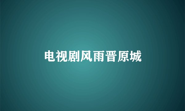 电视剧风雨晋原城