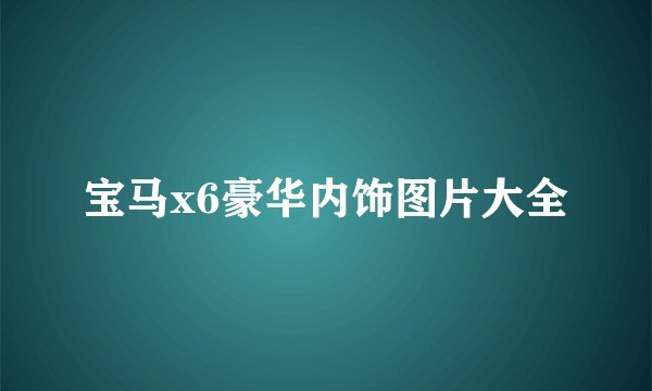 宝马x6豪华内饰图片大全