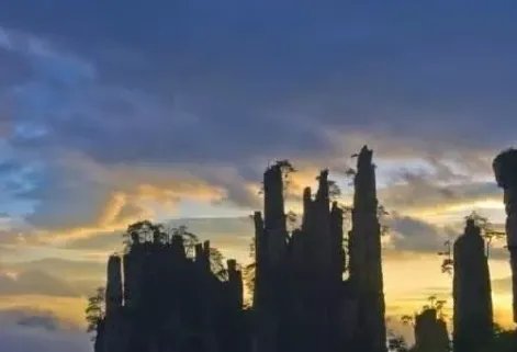 张家界有哪些必去的景点?