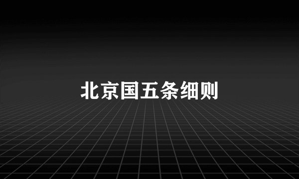 北京国五条细则