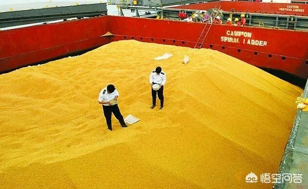 进口大豆多少钱一吨