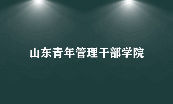 山东青年管理干部学院