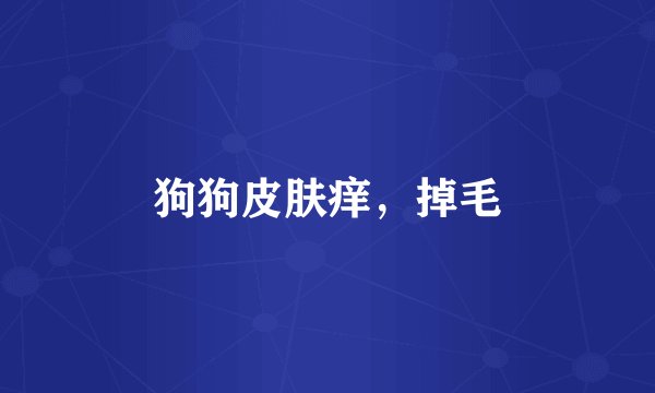 狗狗皮肤痒，掉毛