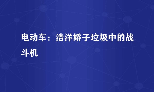 电动车：浩洋娇子垃圾中的战斗机