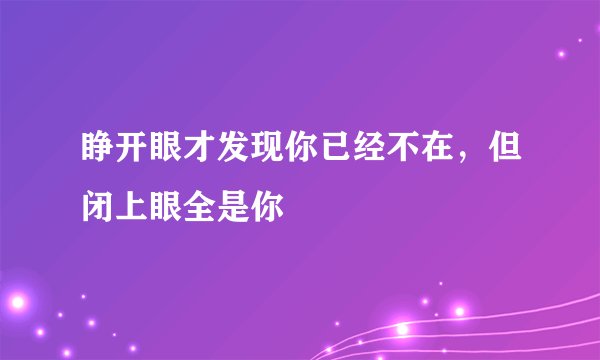 睁开眼才发现你已经不在，但闭上眼全是你