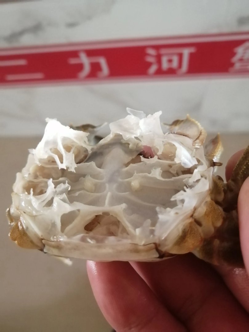 白色大闸蟹隔着壳能看到蟹黄是怎么回事?