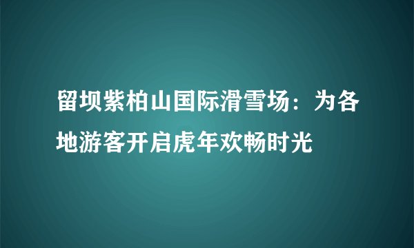留坝紫柏山国际滑雪场：为各地游客开启虎年欢畅时光
