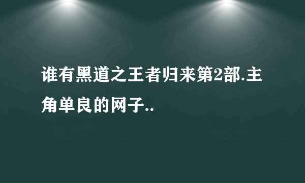 谁有黑道之王者归来第2部.主角单良的网子..