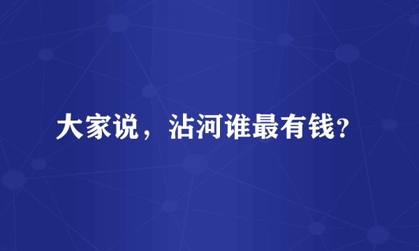大家说，沾河谁最有钱？