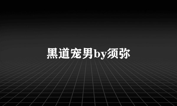 黑道宠男by须弥