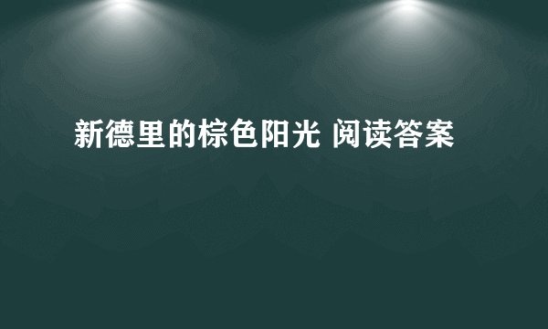 新德里的棕色阳光 阅读答案
