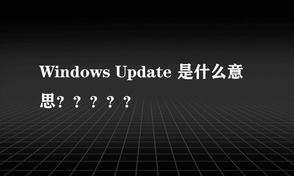 Windows Update 是什么意思？？？？？