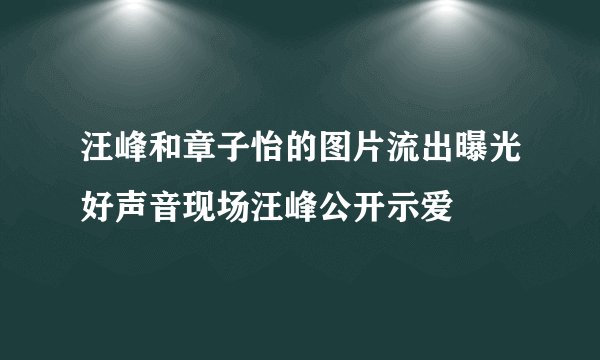 汪峰和章子怡的图片流出曝光好声音现场汪峰公开示爱
