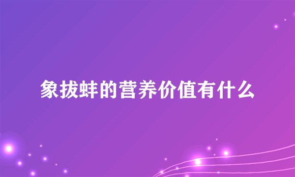 象拔蚌的营养价值有什么