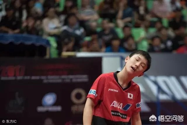 华裔小将张本每天叫嚣要战胜中乒乓球队,却在四强被卡尔完虐,都没有吼叫,你怎么看?