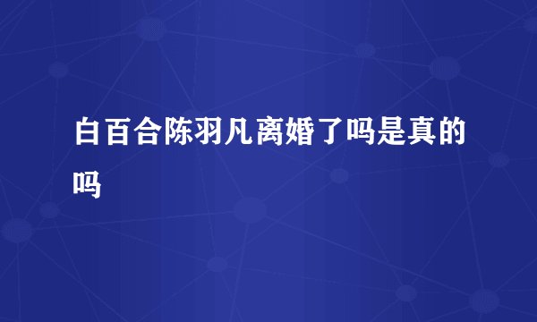 白百合陈羽凡离婚了吗是真的吗
