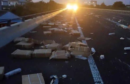 运猪车侧翻20吨活猪遭村民疯抢 网友:原来抢猪不分国界啊