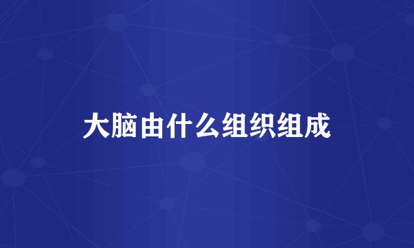 大脑由什么组织组成