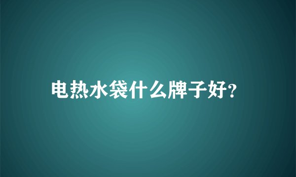 电热水袋什么牌子好？
