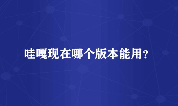 哇嘎现在哪个版本能用？