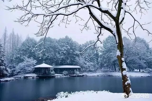 为什么今年广东、杭州都下雪了?