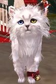 剑网3明教永久波斯猫 前置隐藏任务全攻略