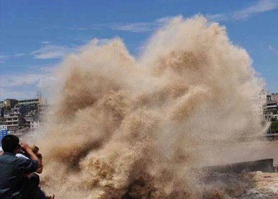 浙江的台风“巴威”的具体路径是什么?