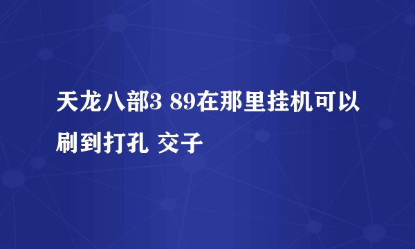 天龙八部3 89在那里挂机可以刷到打孔 交子