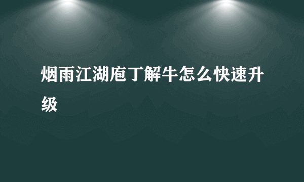 烟雨江湖庖丁解牛怎么快速升级