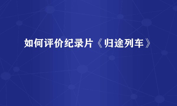 如何评价纪录片《归途列车》