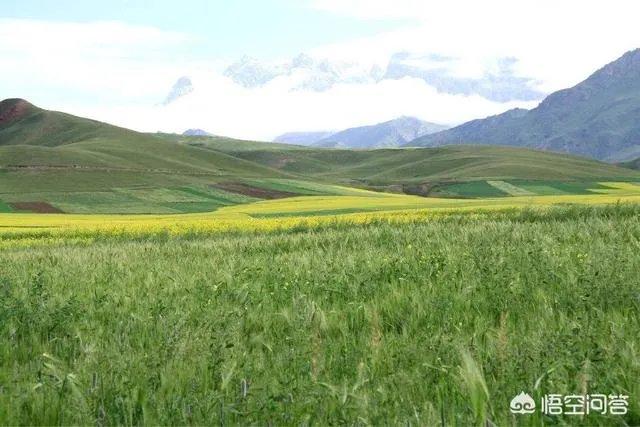在自己家的耕地上建了一个养殖场,现在说属于违建要拆,该怎么办啊?