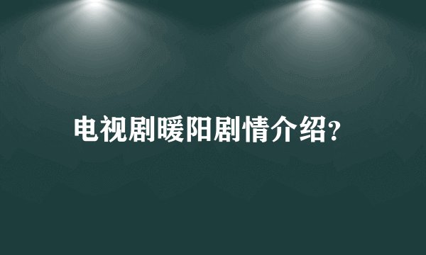 电视剧暖阳剧情介绍？