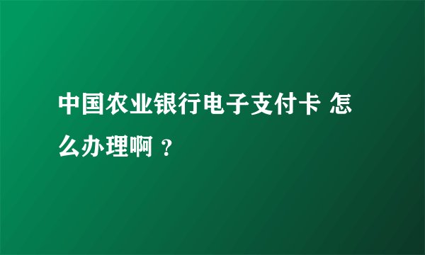 中国农业银行电子支付卡 怎么办理啊 ？
