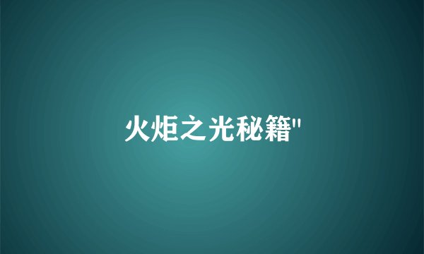 火炬之光秘籍