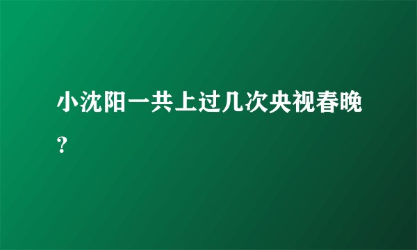 小沈阳一共上过几次央视春晚？