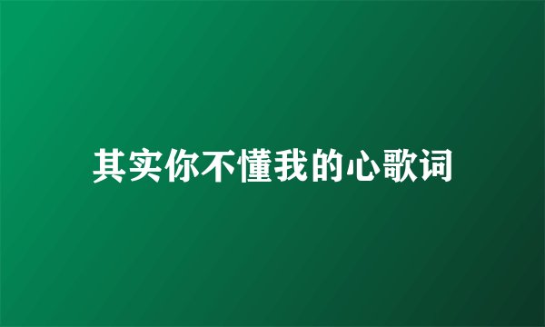 其实你不懂我的心歌词