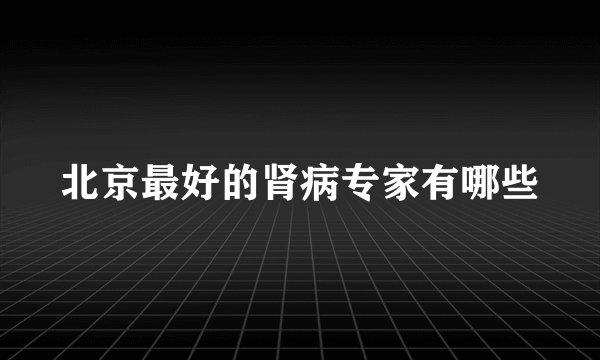 北京最好的肾病专家有哪些