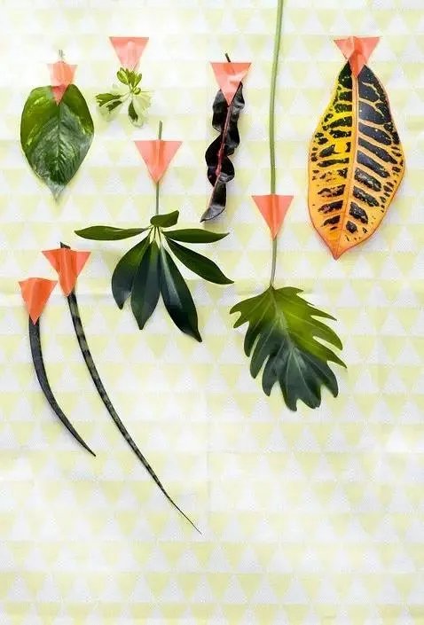 用室内植物搭配家居环境,让“清凉绿意”暴走!