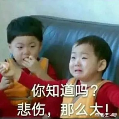 程序员高手和程序员菜鸟的区别是什么?